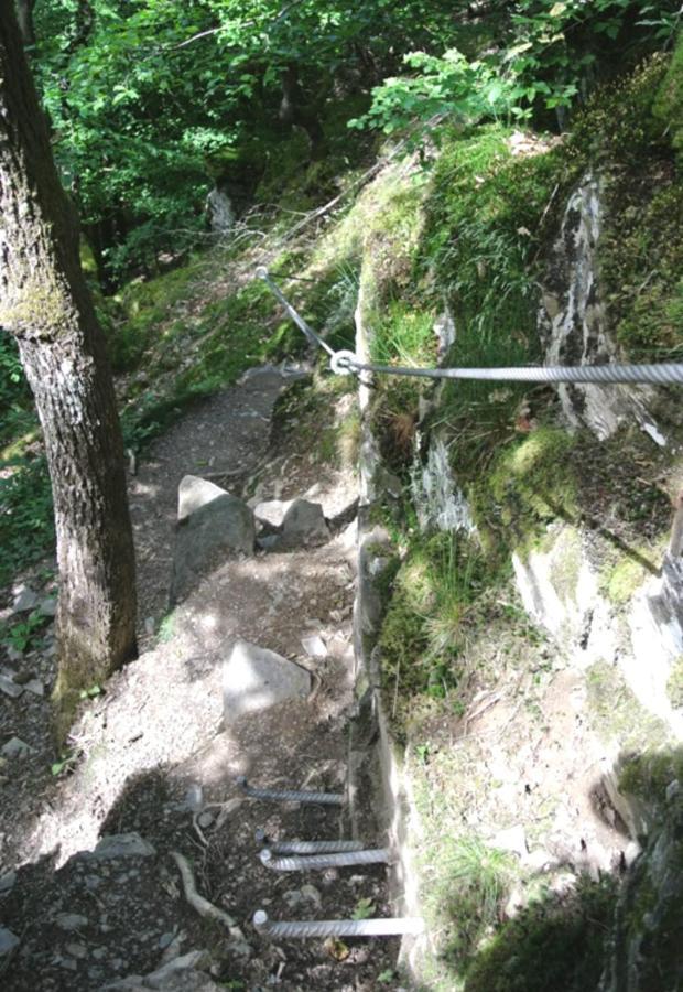 Ferienwohnung Am Reitersgaesschen Blankenrath Bagian luar foto